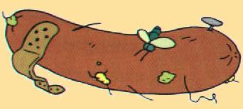 The dreaded Sausage